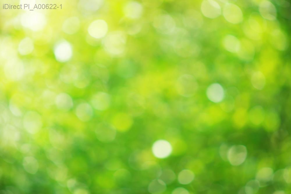 「在家布置風水大全：五個簡單秘訣，助你財富倍增！」示意圖